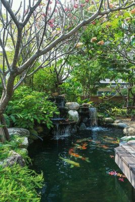 Tue Anh Garden (10)