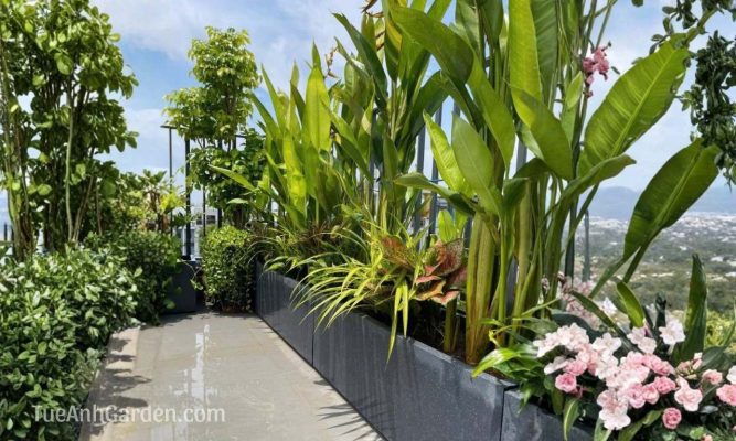 Ban Cong Chung Cu Nha Pho01 (24)