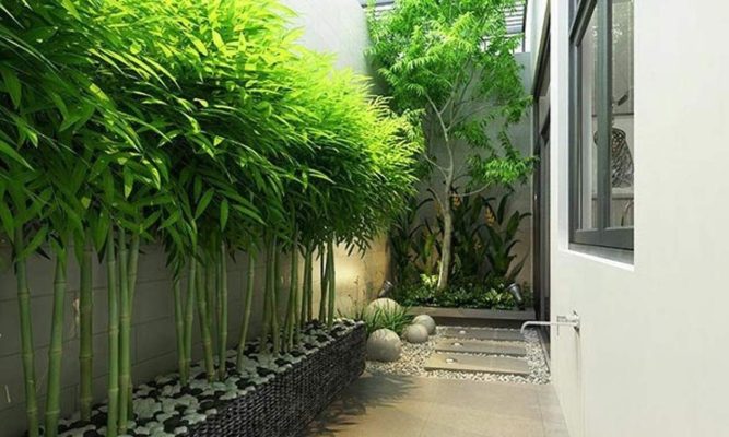 Tuong Cay Xanh (4)